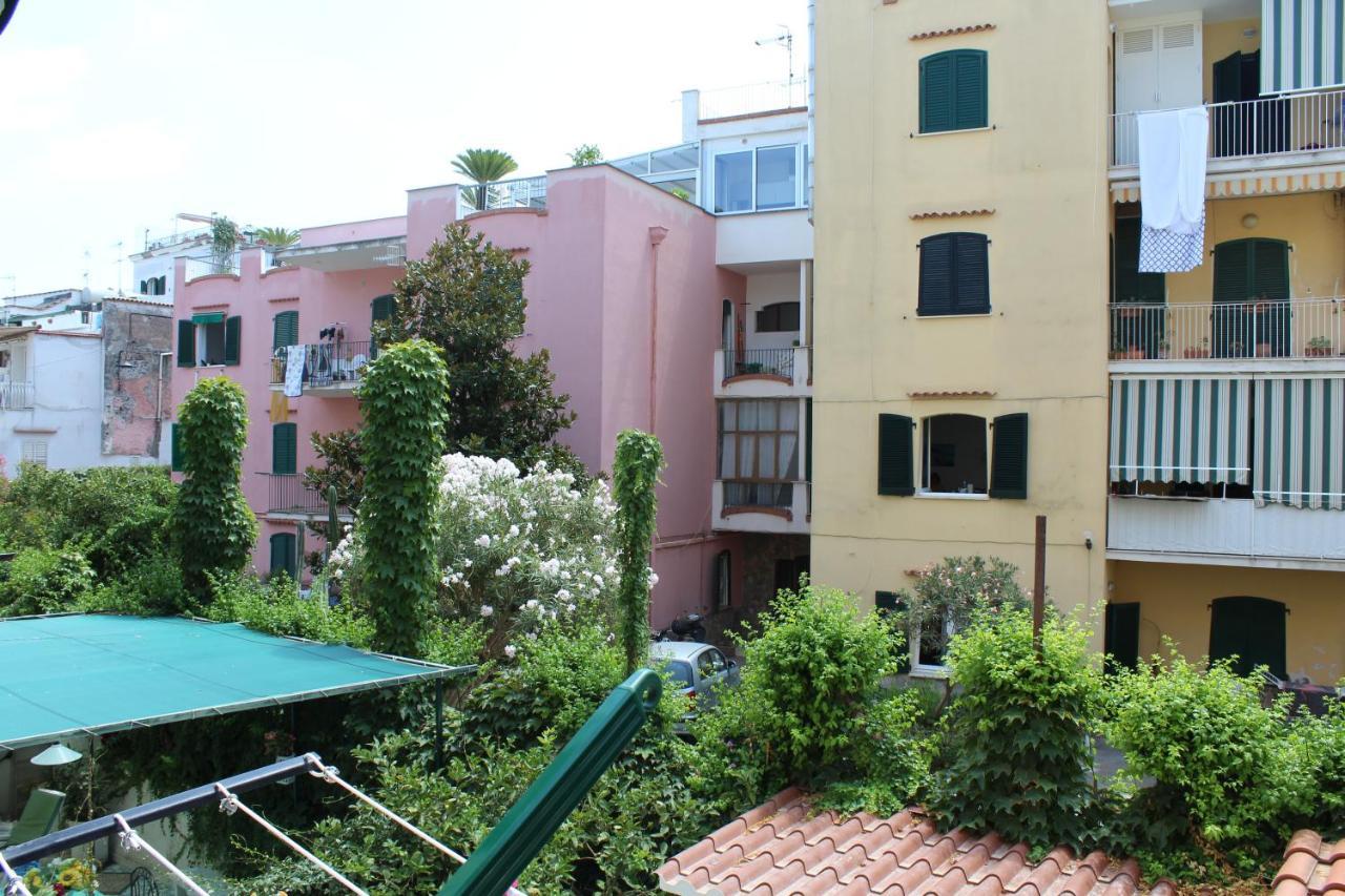 La Casa Ridente : Ischia Porto Διαμέρισμα Εξωτερικό φωτογραφία